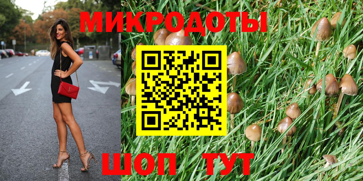 купить  сайты  Псилоцибиновые грибы GOLDEN TEACHER  Вход с VPN  Псилоцибиновые грибы Psilocybe  Петрозаводск 