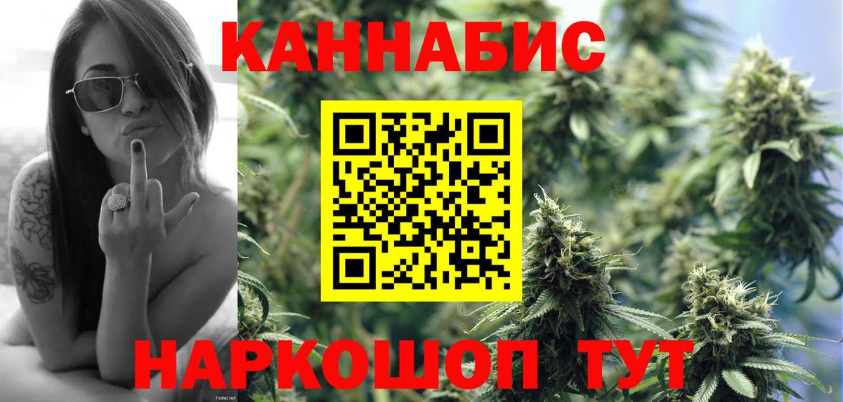 Каннабис план Петрозаводск